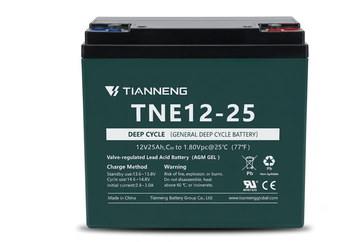 869-1 BATERIA ELECTRICA 12V25A 6-1 TIANNENG
